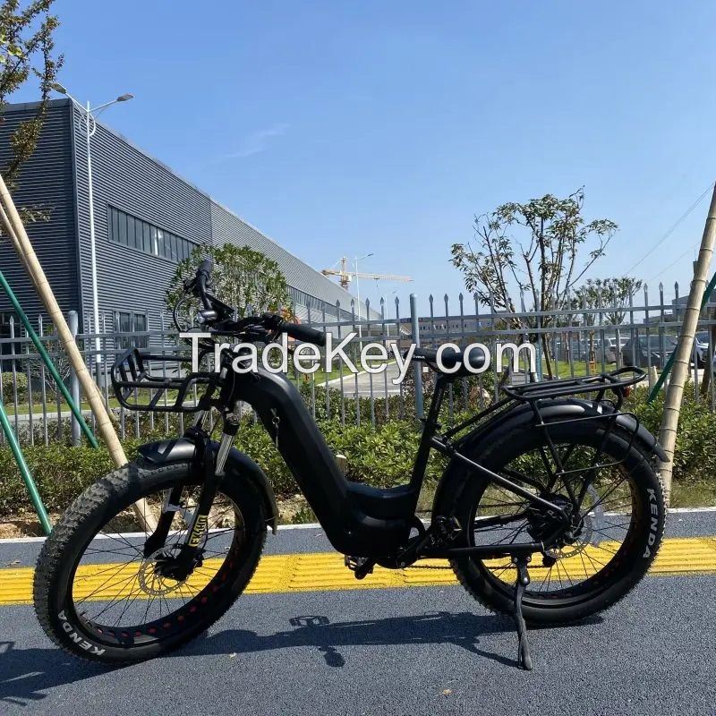 High Power Dirt Bike Electric With 750w Rear Hub Motor