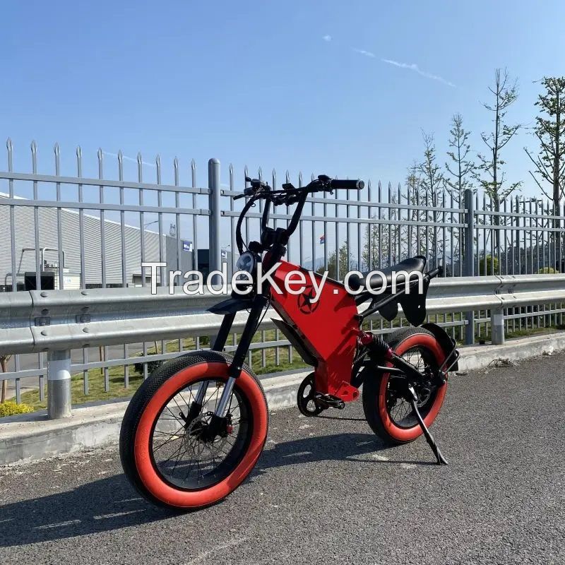 48v 750w 1000w E Bike Double Disc Brake Full Suspension Fat Tire Bike