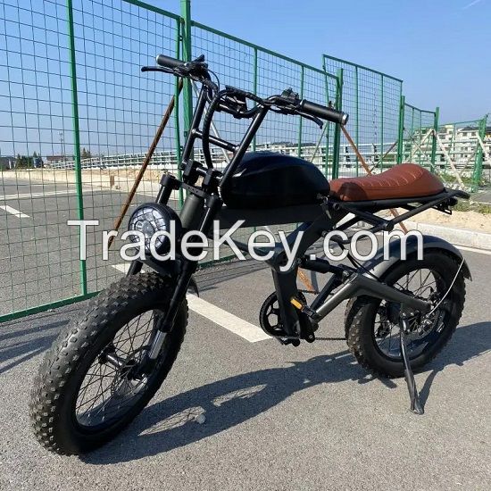 20 inch Electric Mountain Bike with Fat Tires Shock Absorber Off-road Electric Bicycle