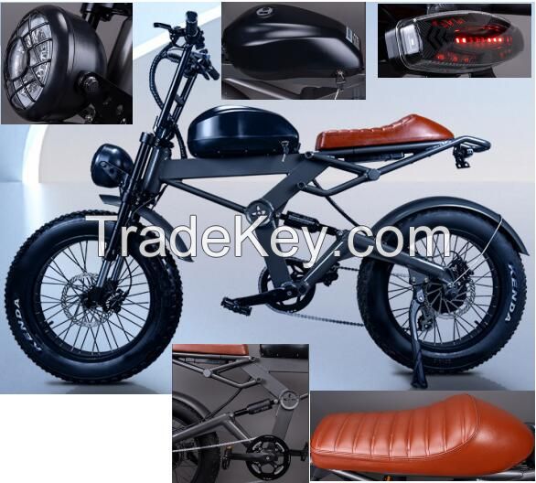 20 inch Electric Mountain Bike with Fat Tires Shock Absorber Off-road Electric Bicycle