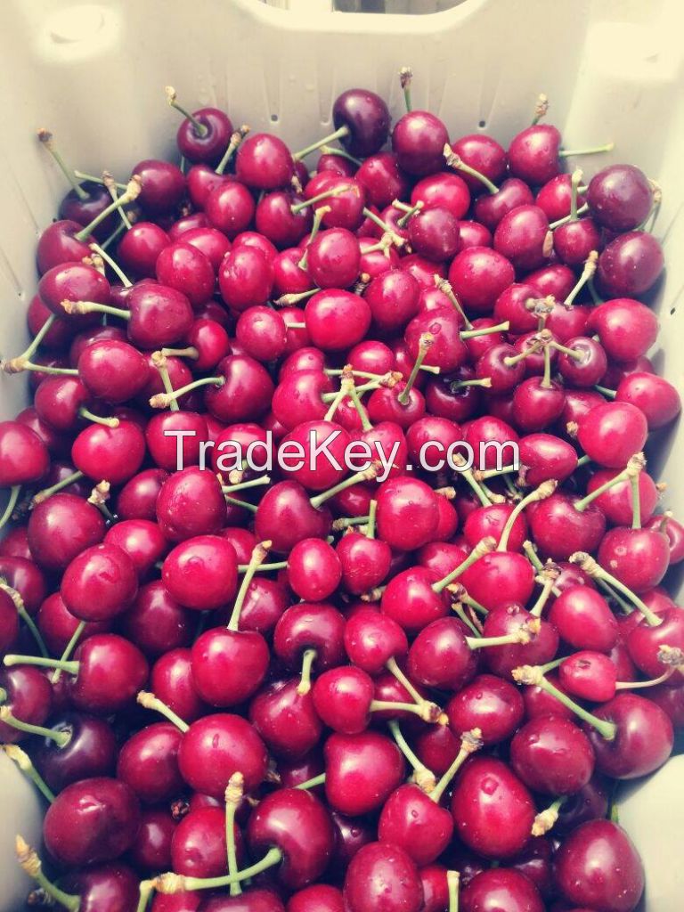 Fresh Cherries, High Quality Cherries, Fresh Cherries Punnets