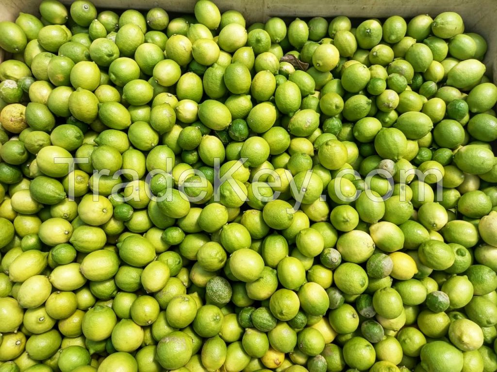 Fresh Lemons, Green Yellow Lemons, Eureka Lemons, Seedless Lemons