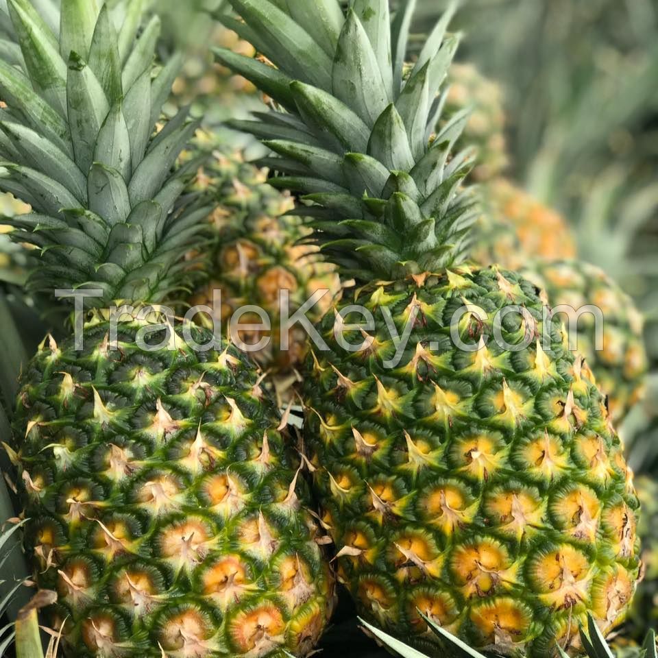 Fresh Pineapples, Fresh Queen Pineapples, Cayenne Pineapples, Diced Pineapples