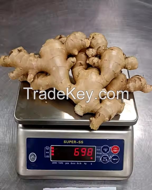 Fresh Ginger, Air Dry Ginger, Premium Fresh and Dry Ginger