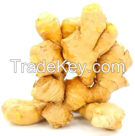 Fresh Ginger, Air Dry Ginger, Premium Fresh and Dry Ginger