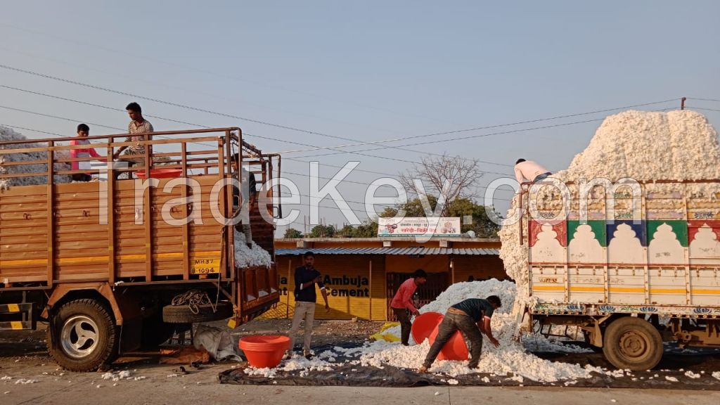 Raw Cotton