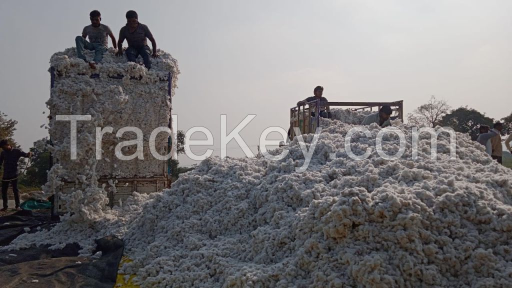 Raw Cotton