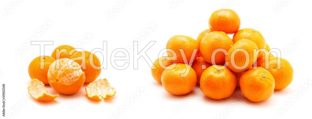 Egyptian Mandarin