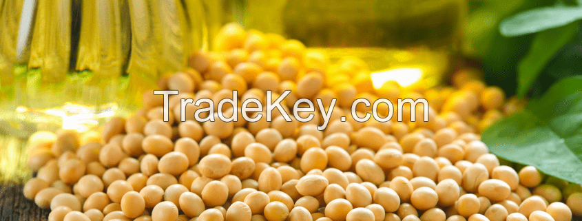 Soybean oil