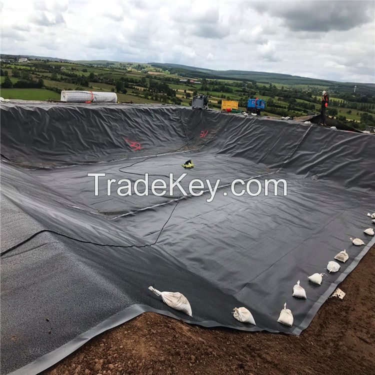 Geomembrane For  Fish Pond  Mining Environmental  HDPE LDPE LLDPE Geomembrane