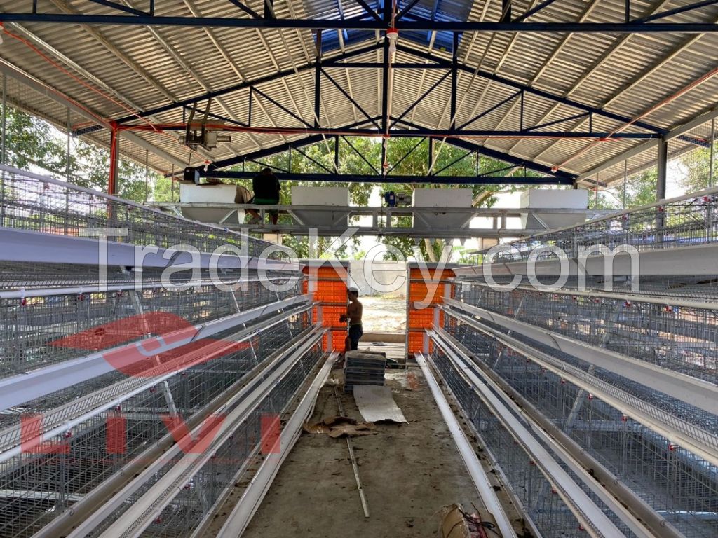 4 tier battery layer chicken cage system