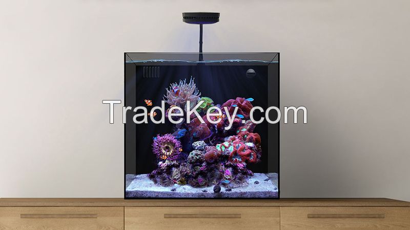 Office small fish tank, desktop small fish tank, glass small aquarium