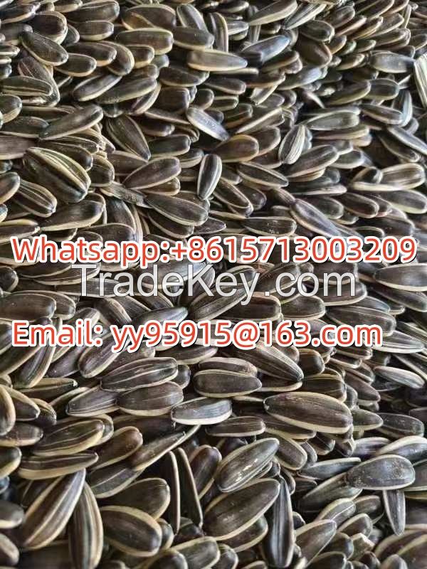 sunflower seeds 361 363 