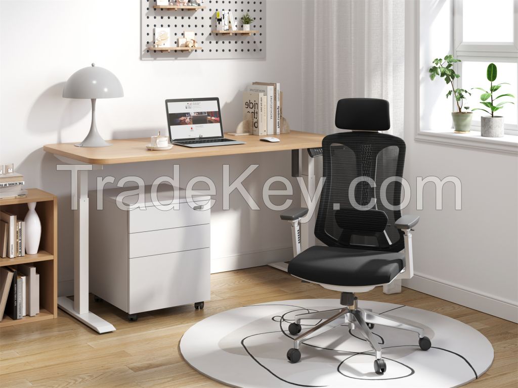 Ergonomic Mesh Office Chair