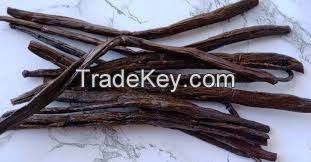 vanilla beans