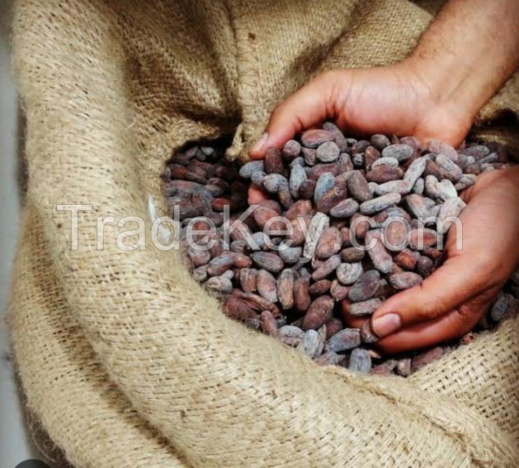 cocoa beans