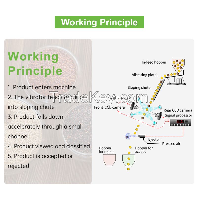 Quinoa pepper carrot cucumber tomato broccoli onion optical Ccd color sorting machine seed color sorting machine