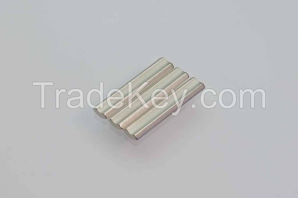 Strong Performance Various Shape Segment Permanent Neodymium Magnet