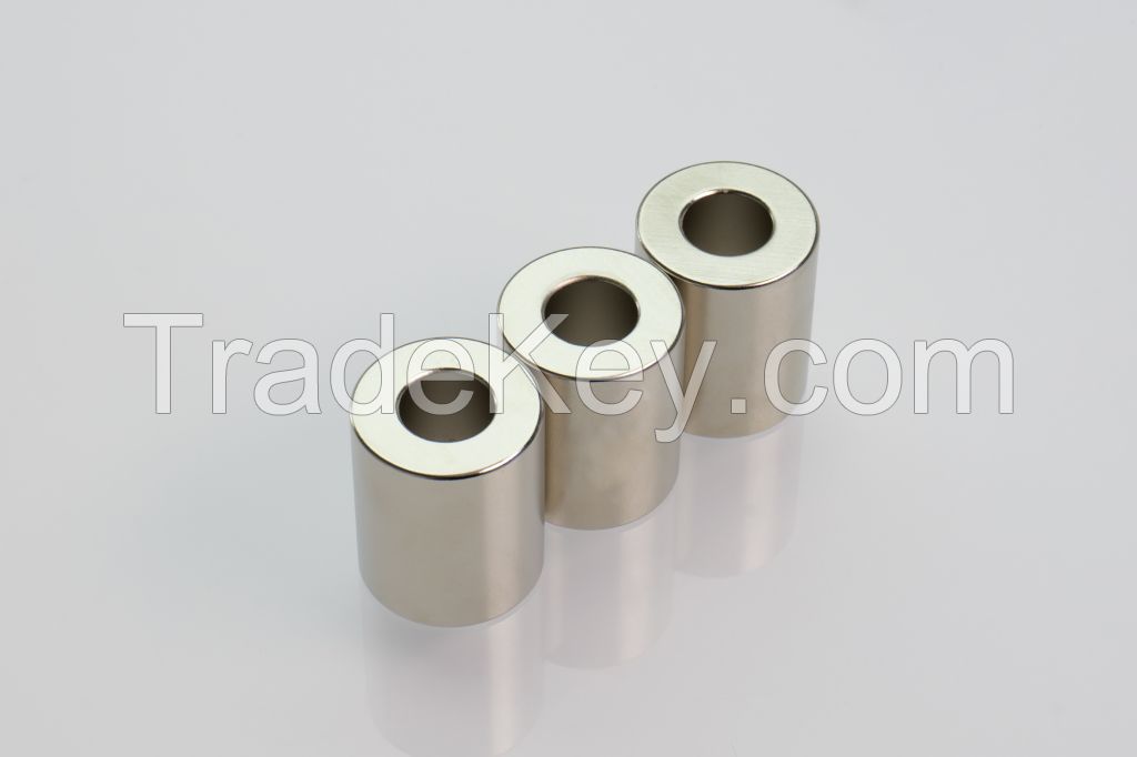 Strong Performance Various Shape Ring Permanent Neodymium Magnet