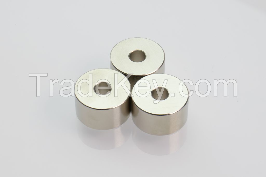 Strong Performance Various Shape Ring Permanent Neodymium Magnet