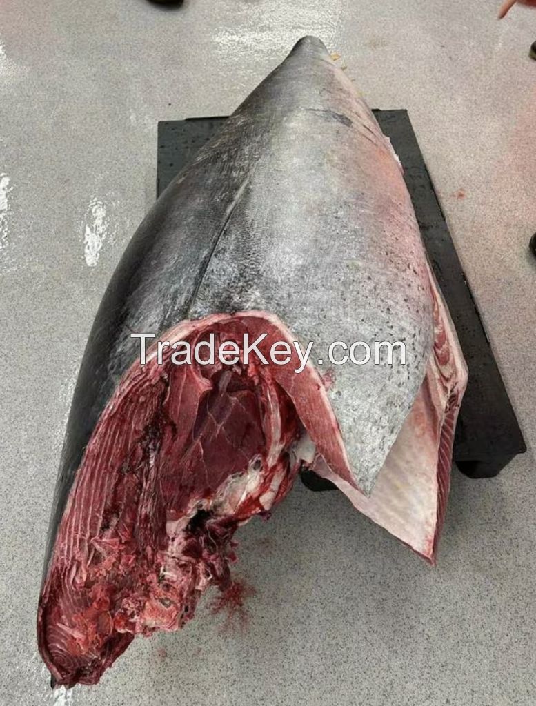 Wild Bluefin Tuna