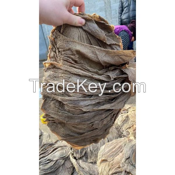 Beef Omasum Available 