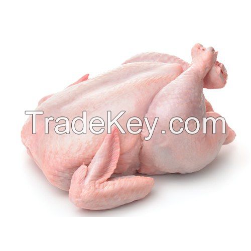 Halal Whole Frozen Chicken; Good Price