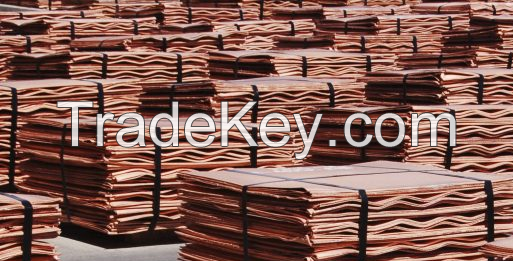 Copper Cathodes / Electrolytic