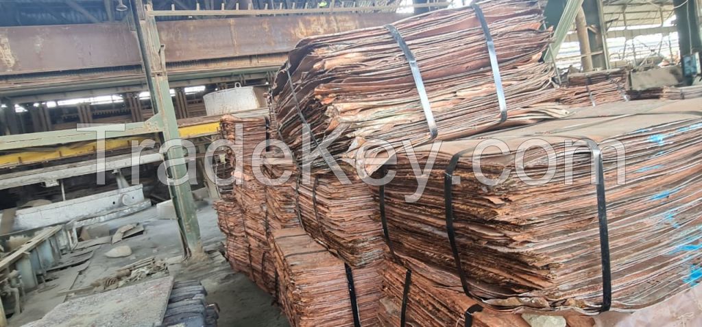 Copper Cathodes 