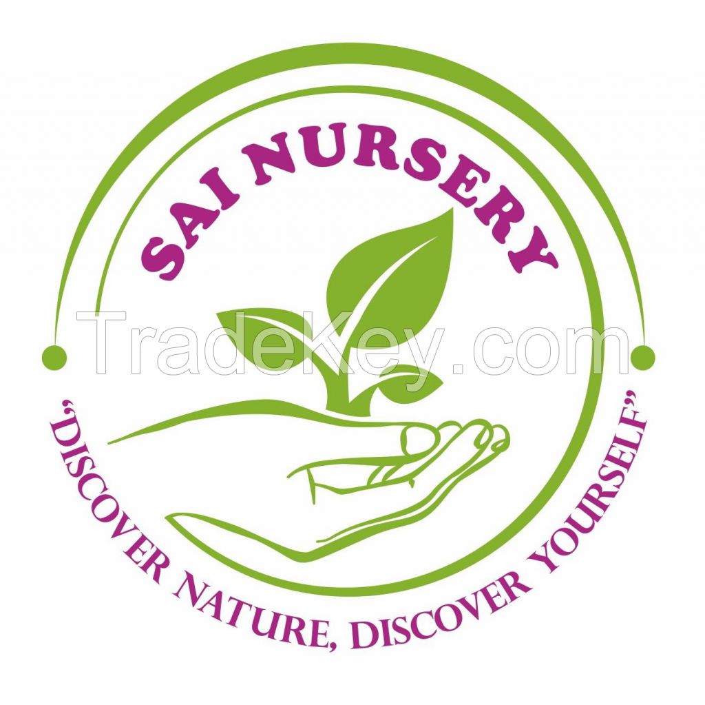 sai nursery