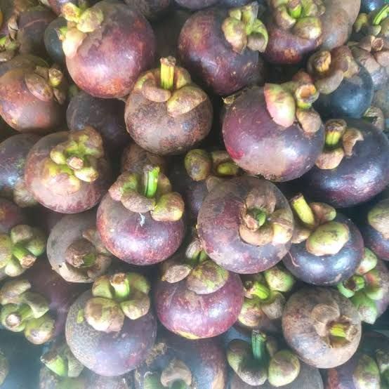 Mangosteen fruit, fresh fruit tropical Fruits