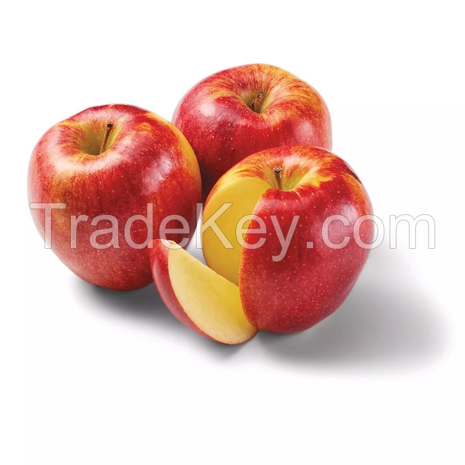 Buy Fresh Red Apple (Box) , Hot Sale Export Quality Fresh Apples New Crop Natural Gala Apple - Green Apple, 