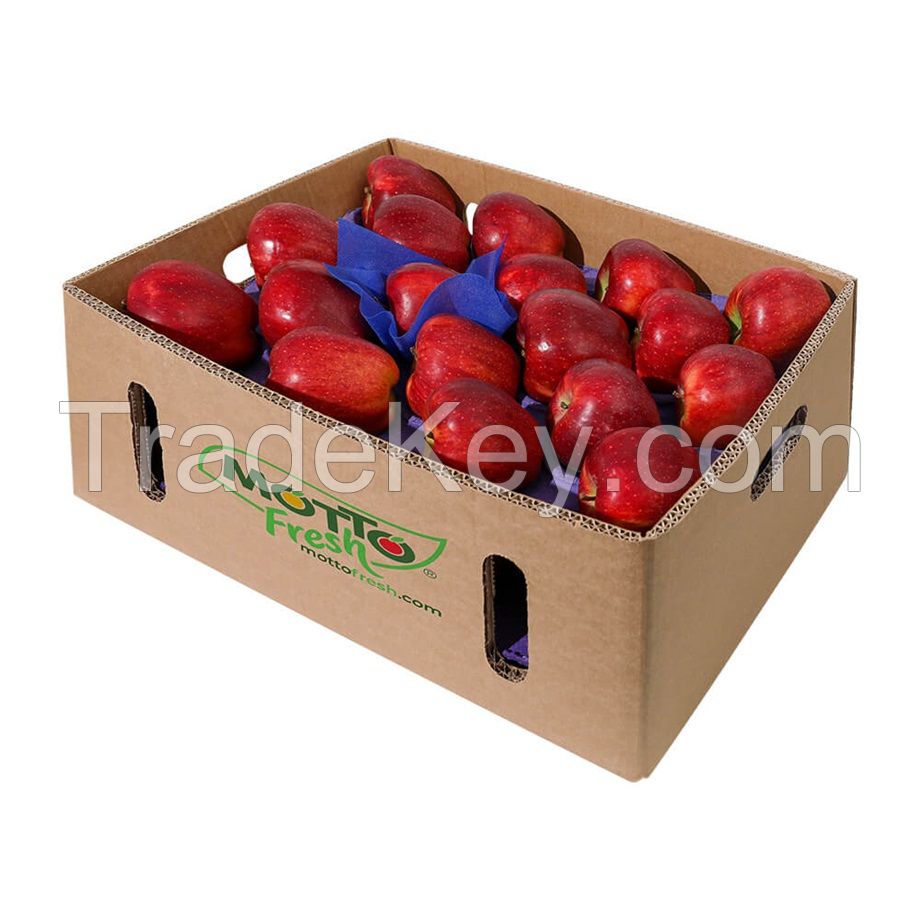 Buy Fresh Red Apple (Box) , Hot Sale Export Quality Fresh Apples New Crop Natural Gala Apple - Green Apple, 