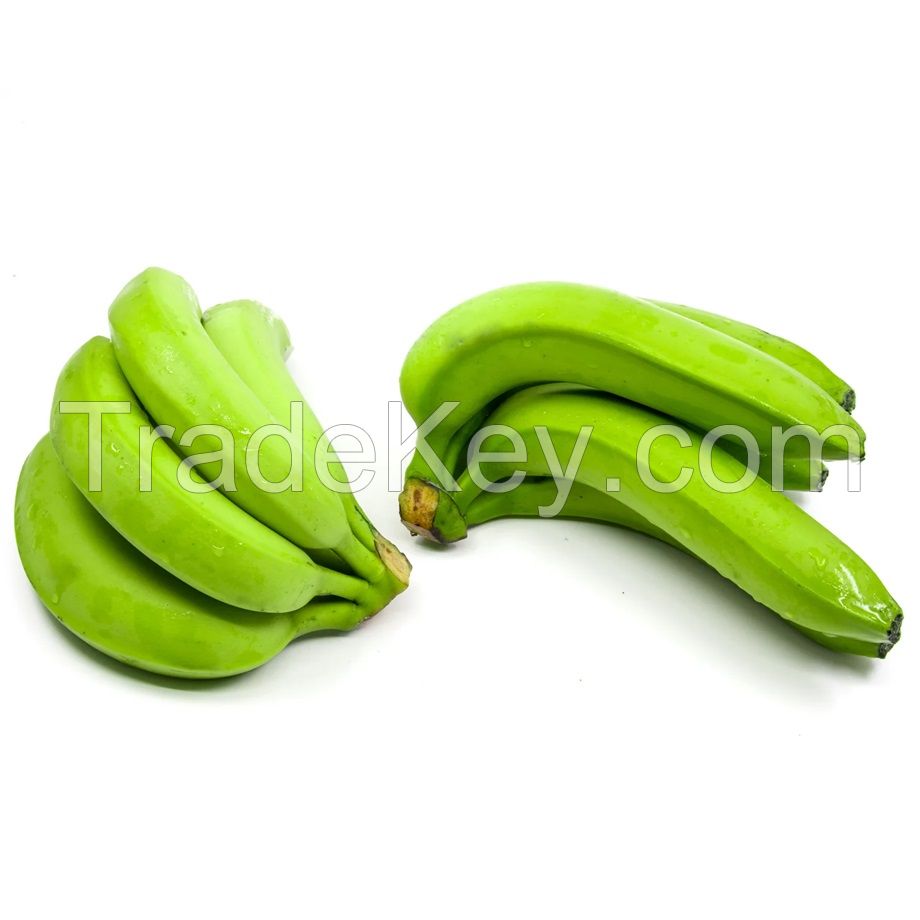 Cavendish Banana Best Quality Premium Grade Common Cultivation Type Wholesale 100% Natural Fresh Bananas