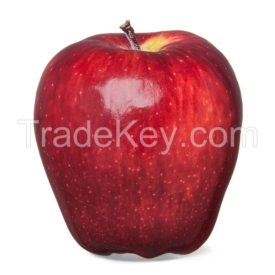 Discount price Fresh Apples Red Fuji Green Golden delicious Apples, Royal Gala Apples, Granny Smith Fresh Apples Price