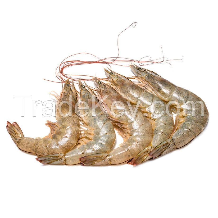 Fresh Tiger Prawns / Wild Shrimps / Sea Food| Premium Seafood Prawns Frozen Vannamei Shrimp Good Quality 