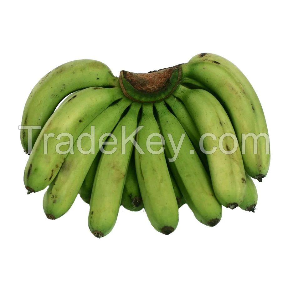     Vietnam farm fresh Green bananas /Yellow bananas/ Frozen cavendish banana export