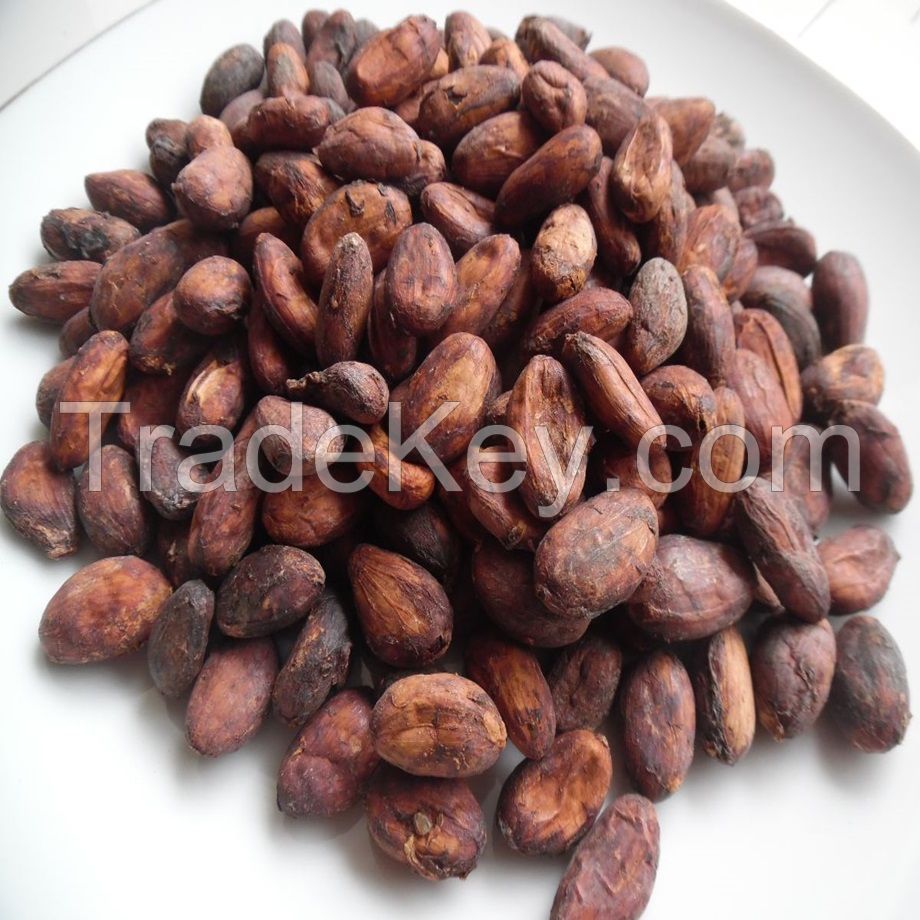 Premium Dried Cocoa Beans - Buy High-Quality Cocoa in Bulk| Cocoa Bean Stock 