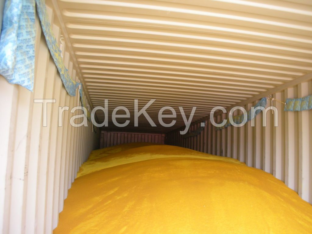 Yellow Corn Gluten Meal 60% Protein Feed Additives for Sale - Yellow Corn Gluten Meal, Corn Gluten Meal 60% Protein
