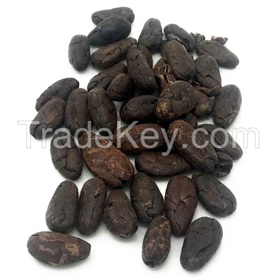 Premium Dried Cocoa Beans - Buy High-Quality Cocoa in Bulk| Cocoa Bean Stock 