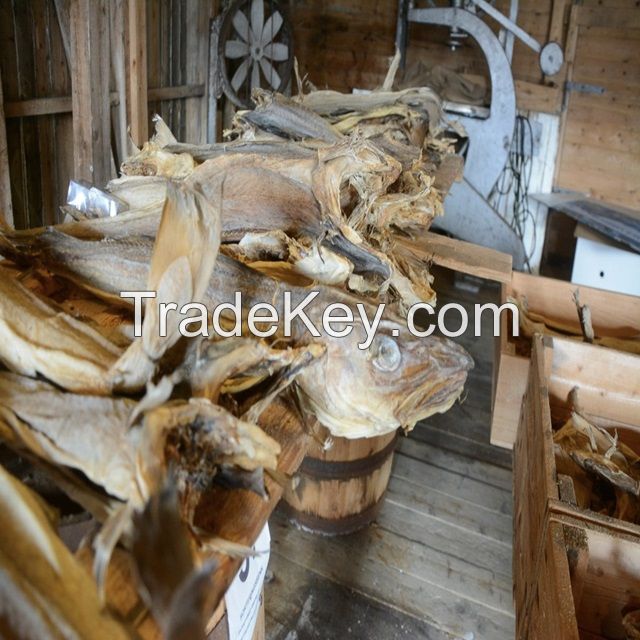 Dried Norwegian Stock Fish & Cod Heads/cod, Dried Cod Fish, Dried Stockfish, Dried Maw Fish 