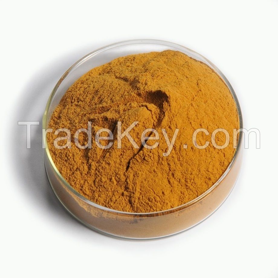 Yellow Corn Gluten Meal 60% Protein Feed Additives for Sale - Yellow Corn Gluten Meal, Corn Gluten Meal 60% Protein