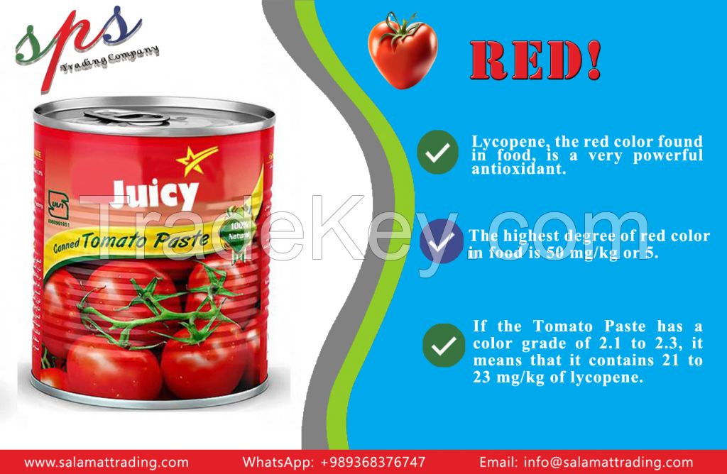 Tomato Paste