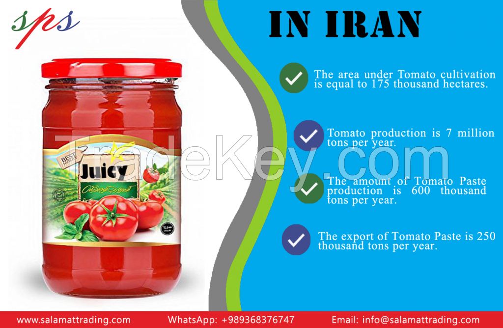 Tomato Paste