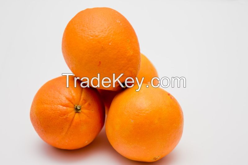 Fresh Oranges from the USA - Valencia Oranges, Navel Oranges, Mandarin and Tangerine