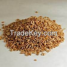 Hard Red Winter Wheat  Ã¢ï¿½ï¿½ NON-GMO. USA Origin.