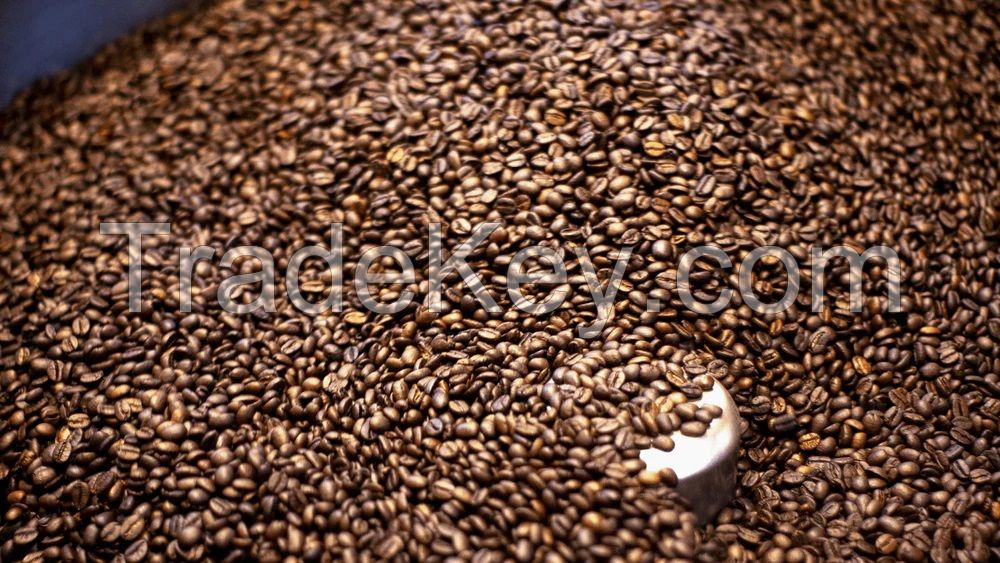 Roasted Arabica Coffee beans &acirc; Best quality &acirc; Origin from Spain