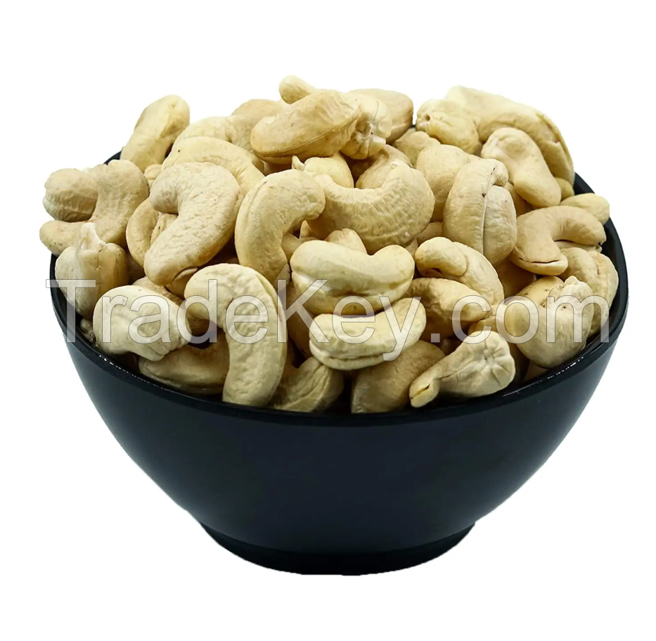 Raw Cashew Nuts W320 W240 with High Quality