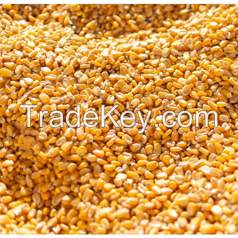 Sweet Yellow Corn Kernel Bulk Price