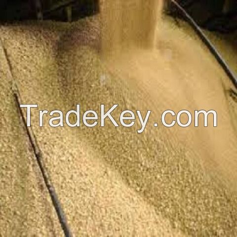 Best Quality Natural and Non- GMO Yellow Soybean Seeds / Soybean / Soya beans High Quality Canada Origin Soybeans